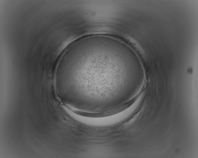 X0000089461457200707131938