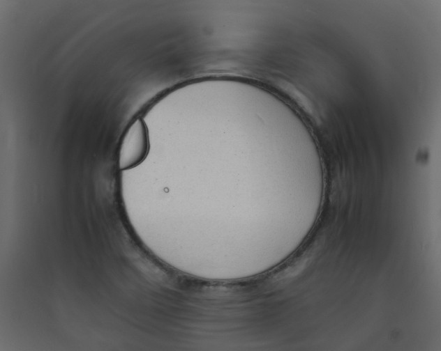 X0000089461458200707131938