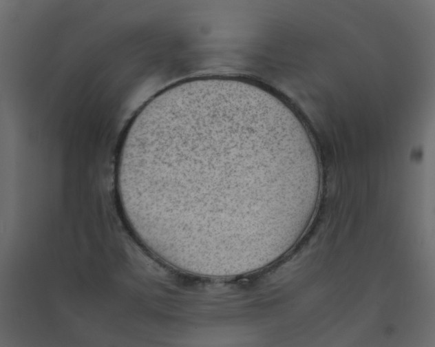 X0000089461459200707131938