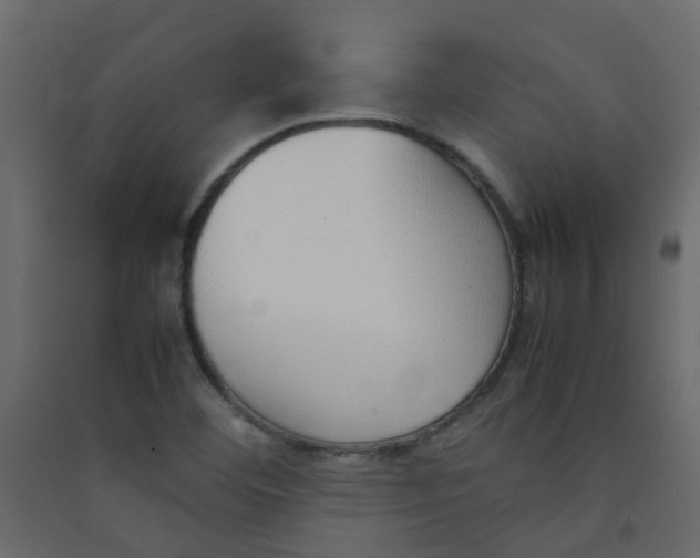 X0000089461460200707131938