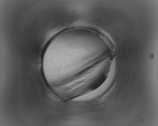 X0000089461461200707131938