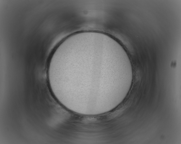 X0000089461462200707131938