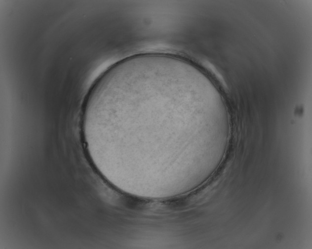 X0000089461463200707131938