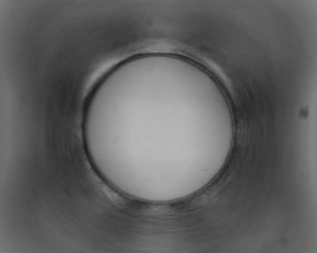 X0000089461464200707131938
