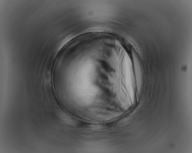 X0000089461465200707131938