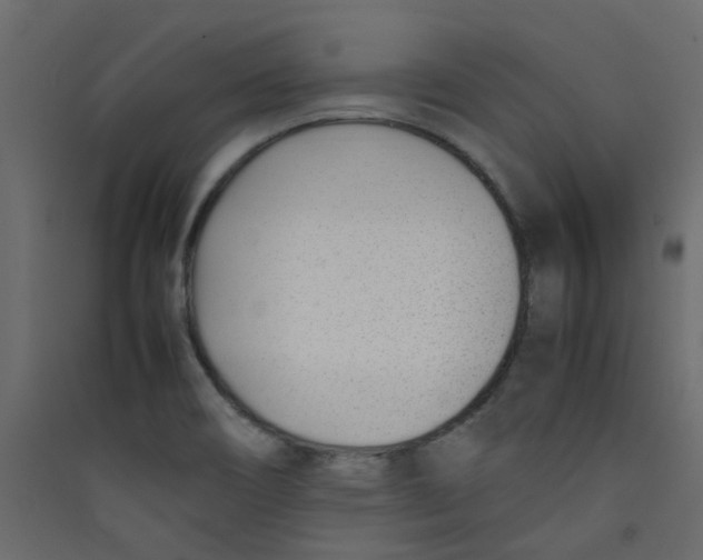 X0000089461466200707131938