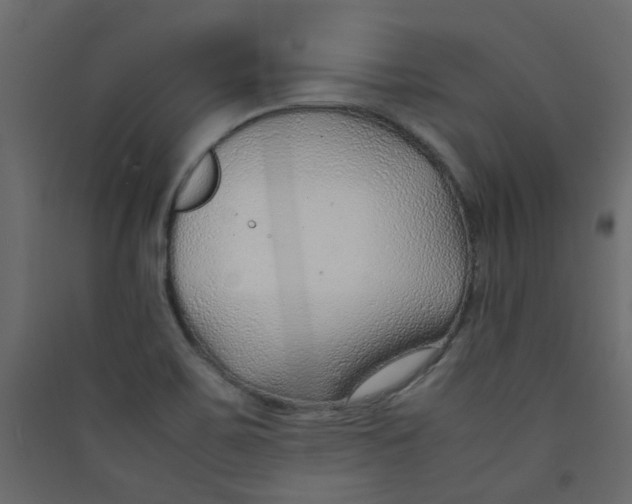 X0000089461467200707131938