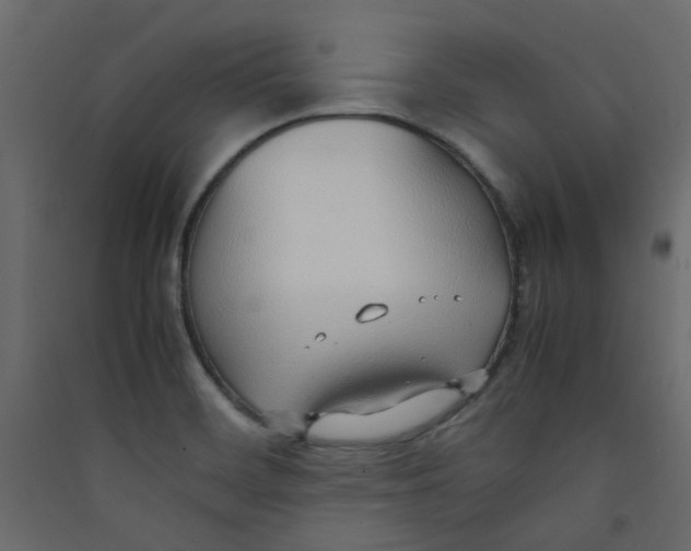 X0000089461468200707131938