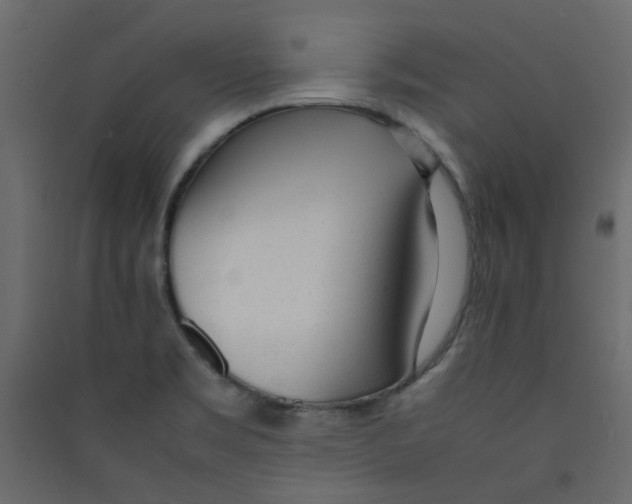 X0000089461469200707131938