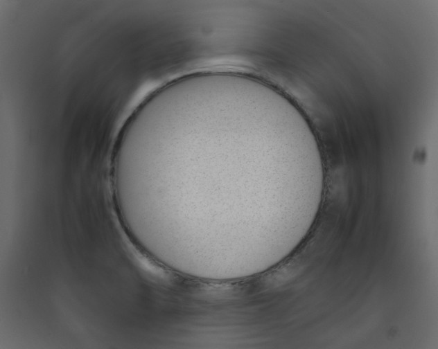 X0000089461470200707131938