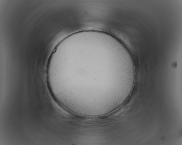 X0000089461471200707131938