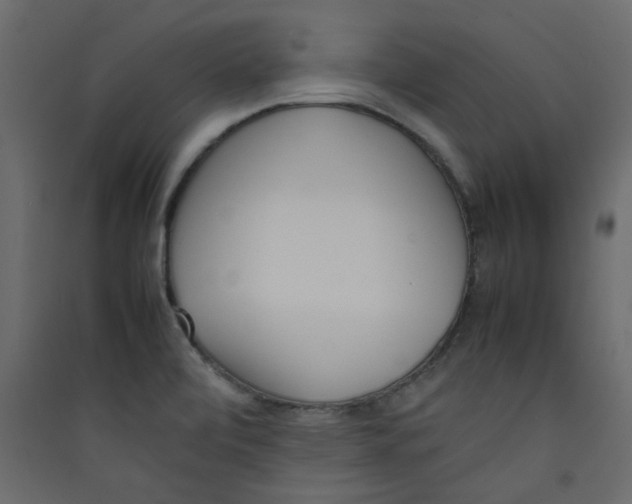 X0000089461472200707131938