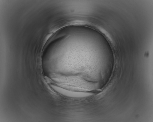 X0000089461473200707131938