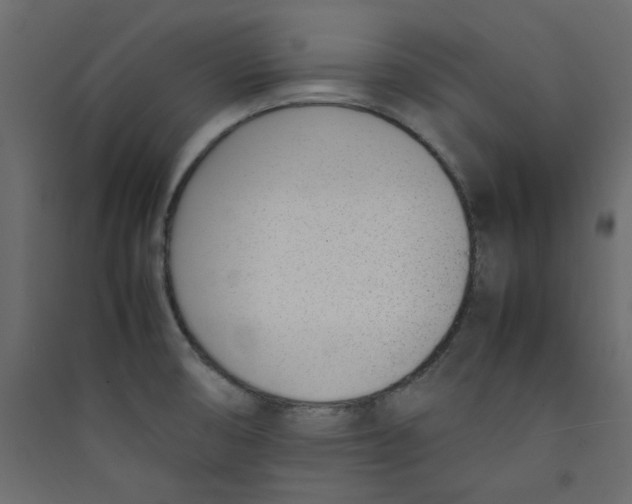 X0000089461474200707131938