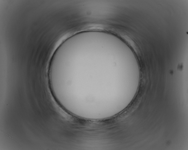 X0000089461475200707131938