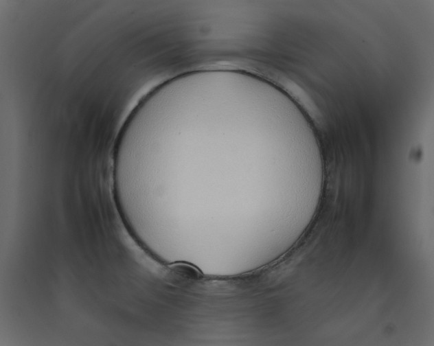 X0000089461476200707131938