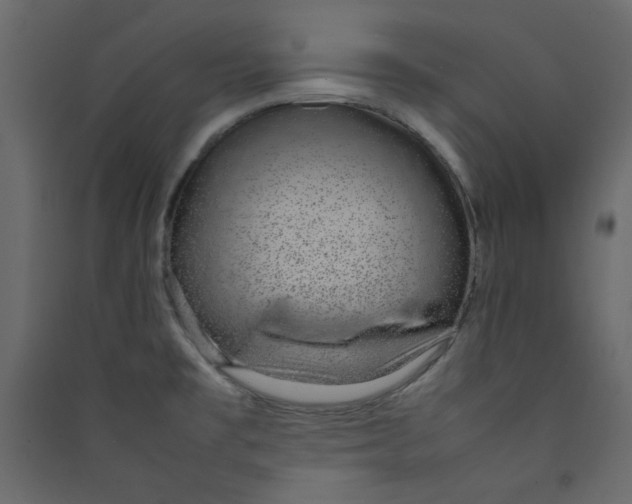 X0000089461477200707131938
