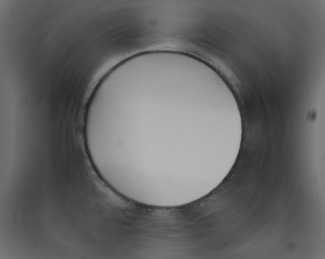 X0000089461480200707131938