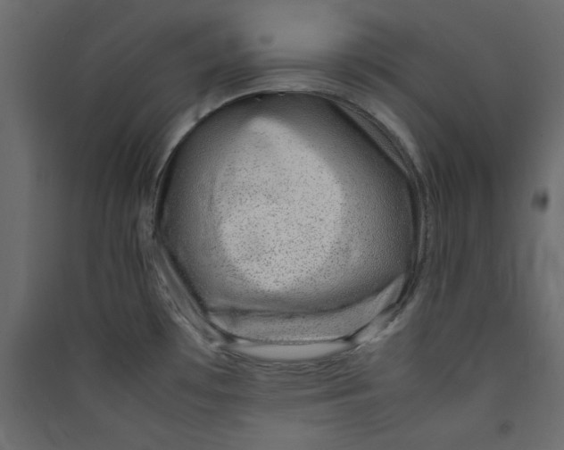X0000089461481200707131938