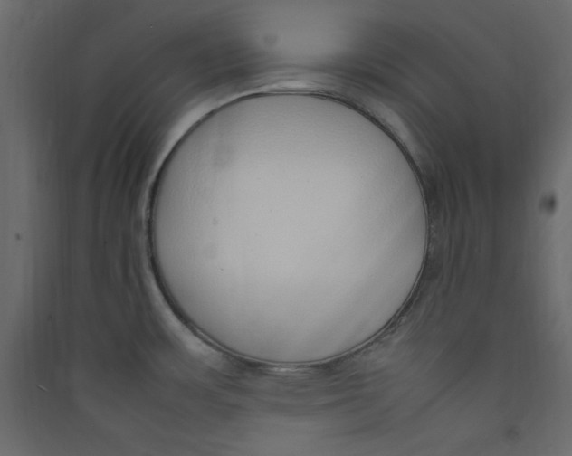 X0000089461483200707131938
