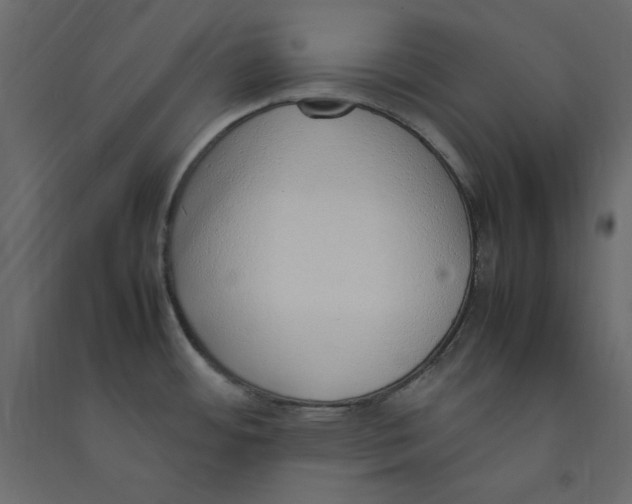 X0000089461484200707131938