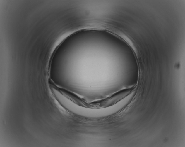 X0000089461485200707131938