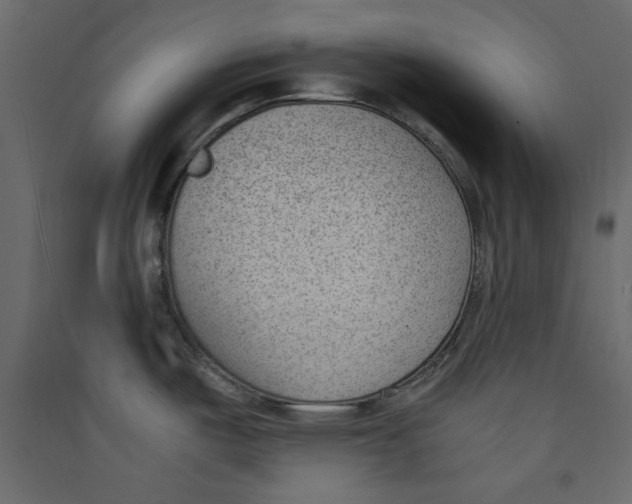 X0000089461487200707131938