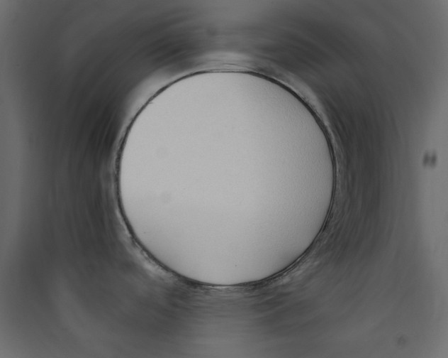X0000089461488200707131937