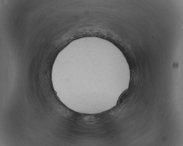 X0000089461489200707131937
