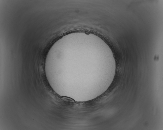 X0000089461490200707131937