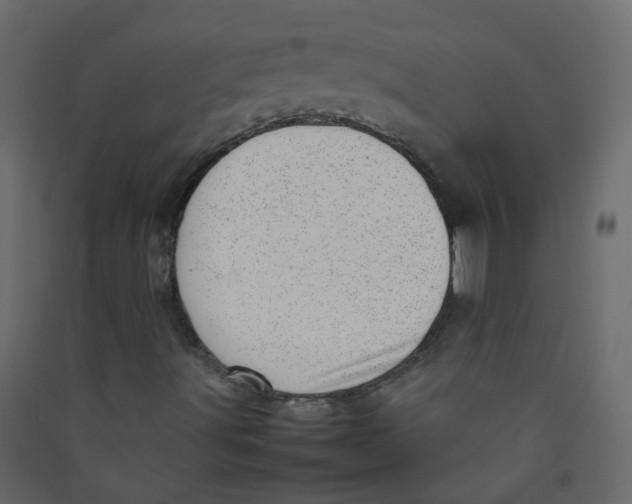 X0000089461491200707131937