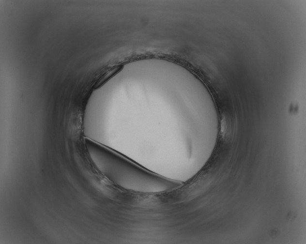 X0000089461492200707131937