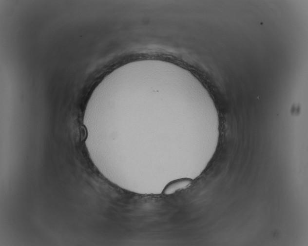 X0000089461493200707131937