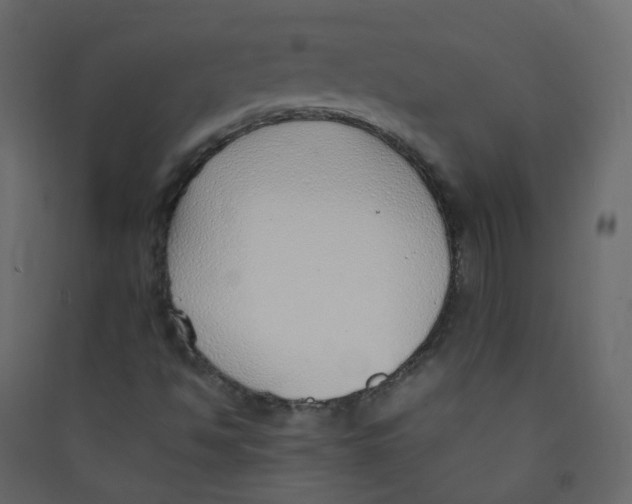 X0000089461494200707131937