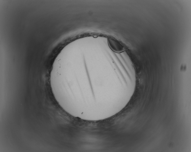 X0000089461495200707131937