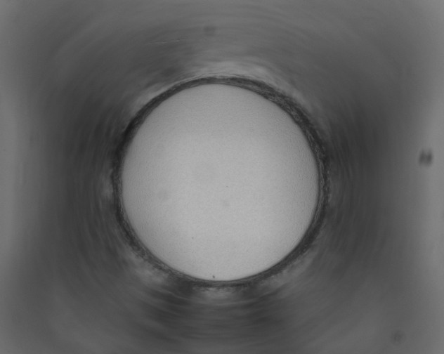 X0000089461497200707131937