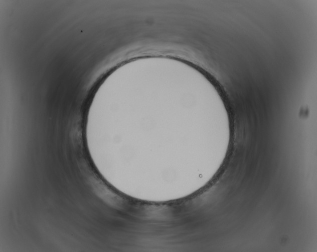 X0000089461498200707131937