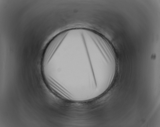 X0000089461500200707131937