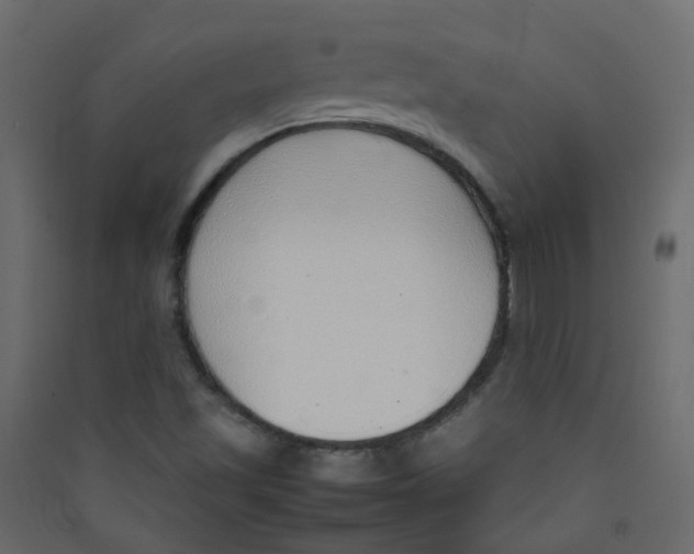 X0000089461501200707131937