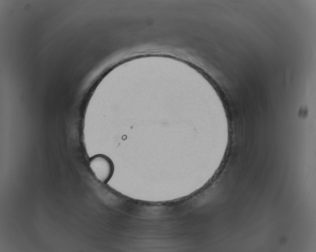 X0000089461502200707131937