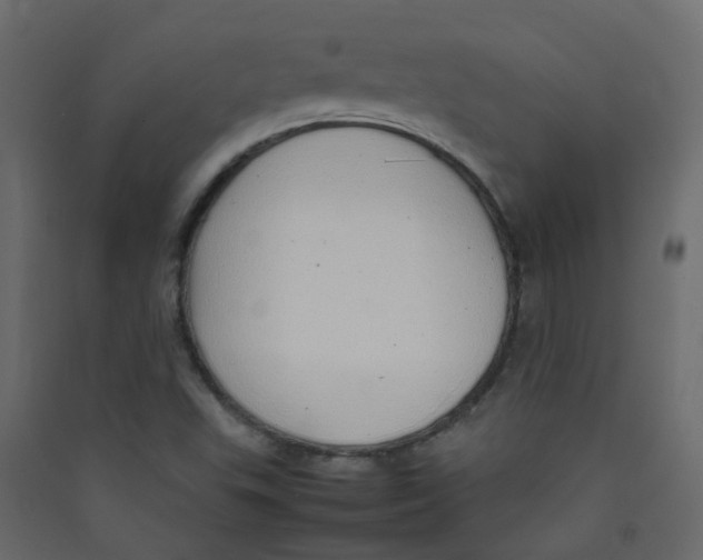 X0000089461503200707131937
