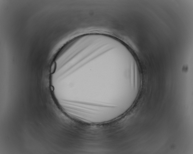 X0000089461504200707131937