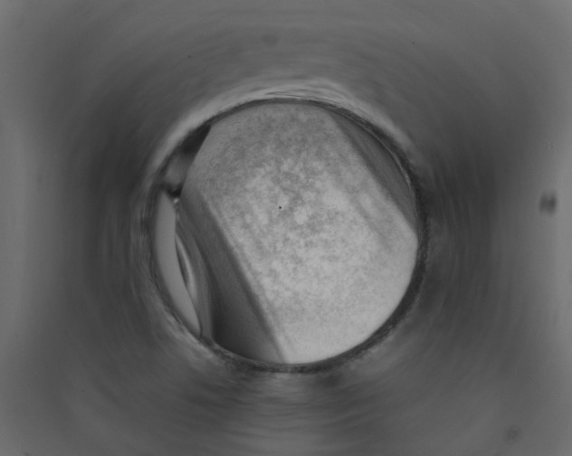 X0000089461506200707131937