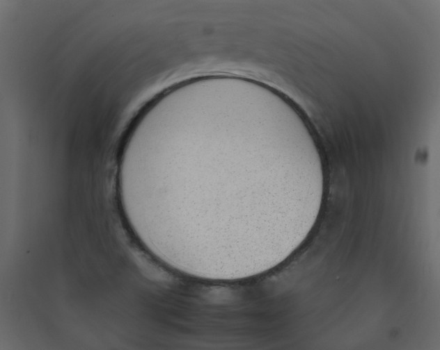 X0000089461507200707131937