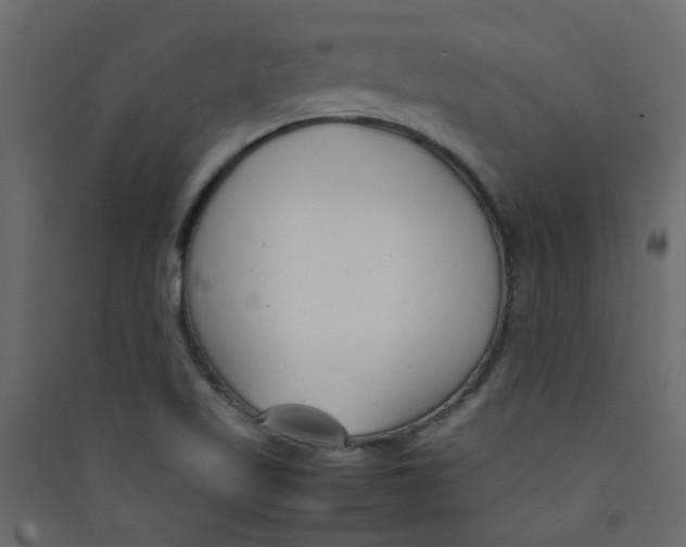 X0000089461509200707131937