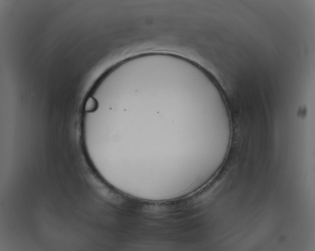 X0000089461511200707131937