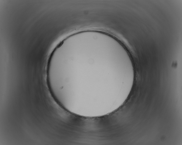 X0000089461512200707131937