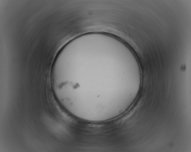 X0000089461513200707131937