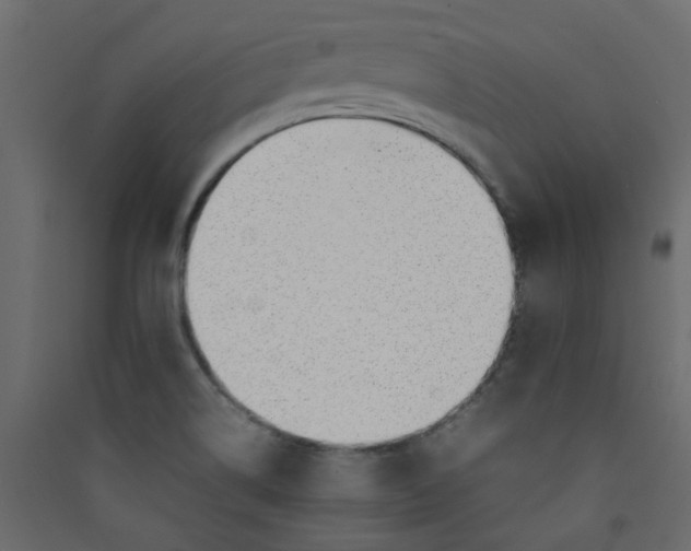 X0000089461514200707131937