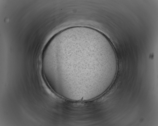 X0000089461515200707131937